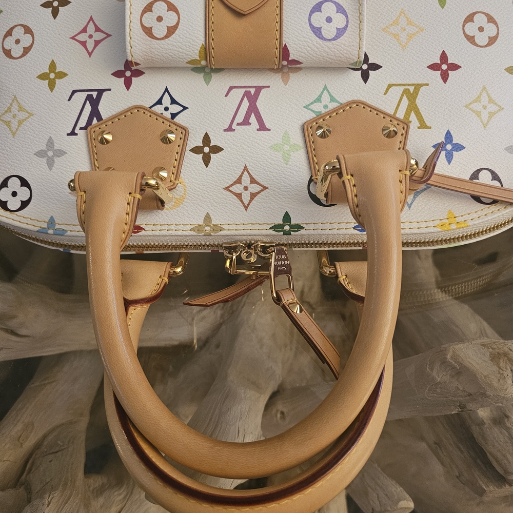 LV Multicolore Alma Gm Lvlouisinlove - Picture 5 of 10